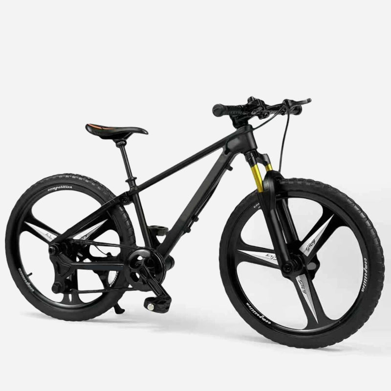 Modello da collezione in lega di una mountain bike con sospensioni anteriori e posterior