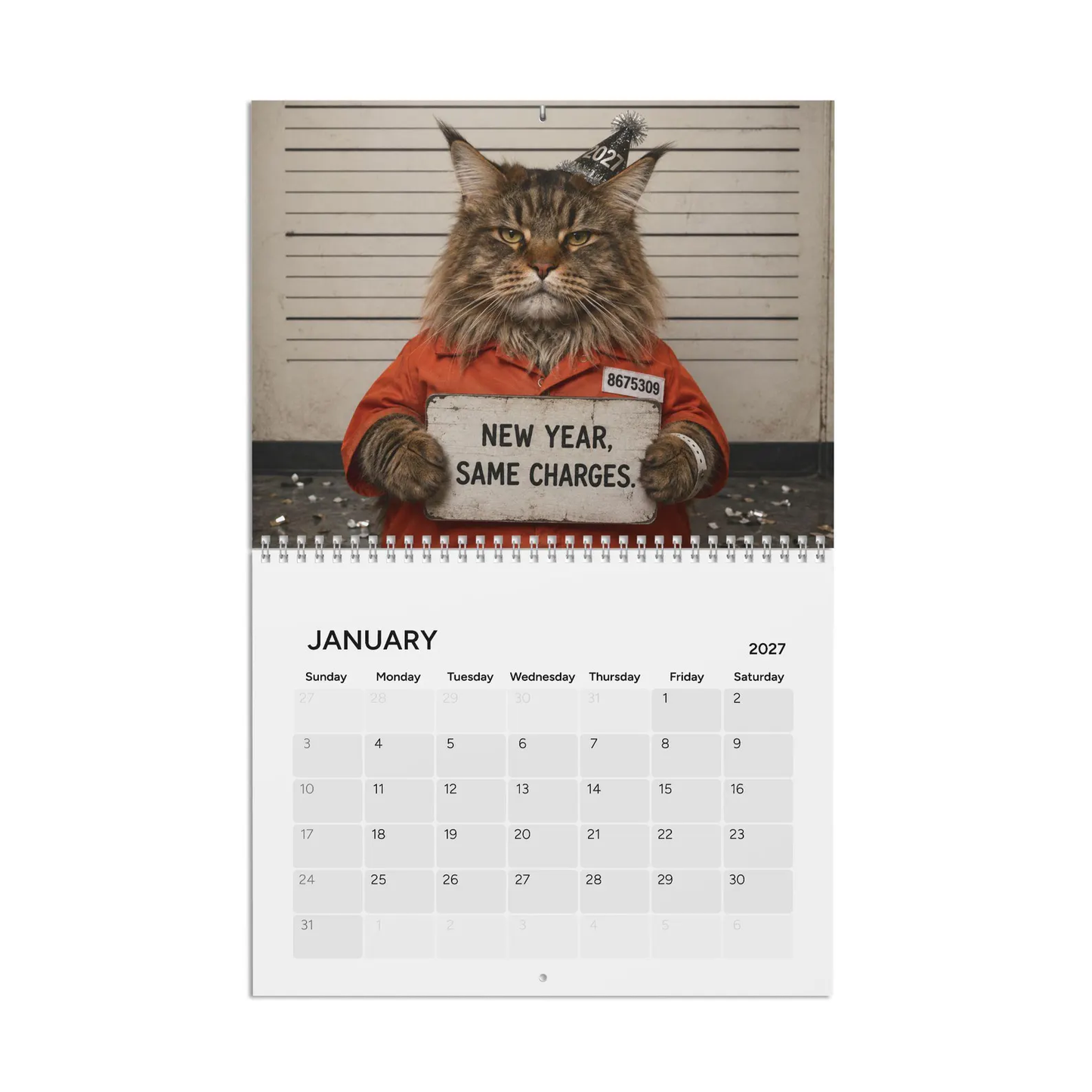 😂 Calendario 2027 con le foto segnaletiche dei gatti più divertent