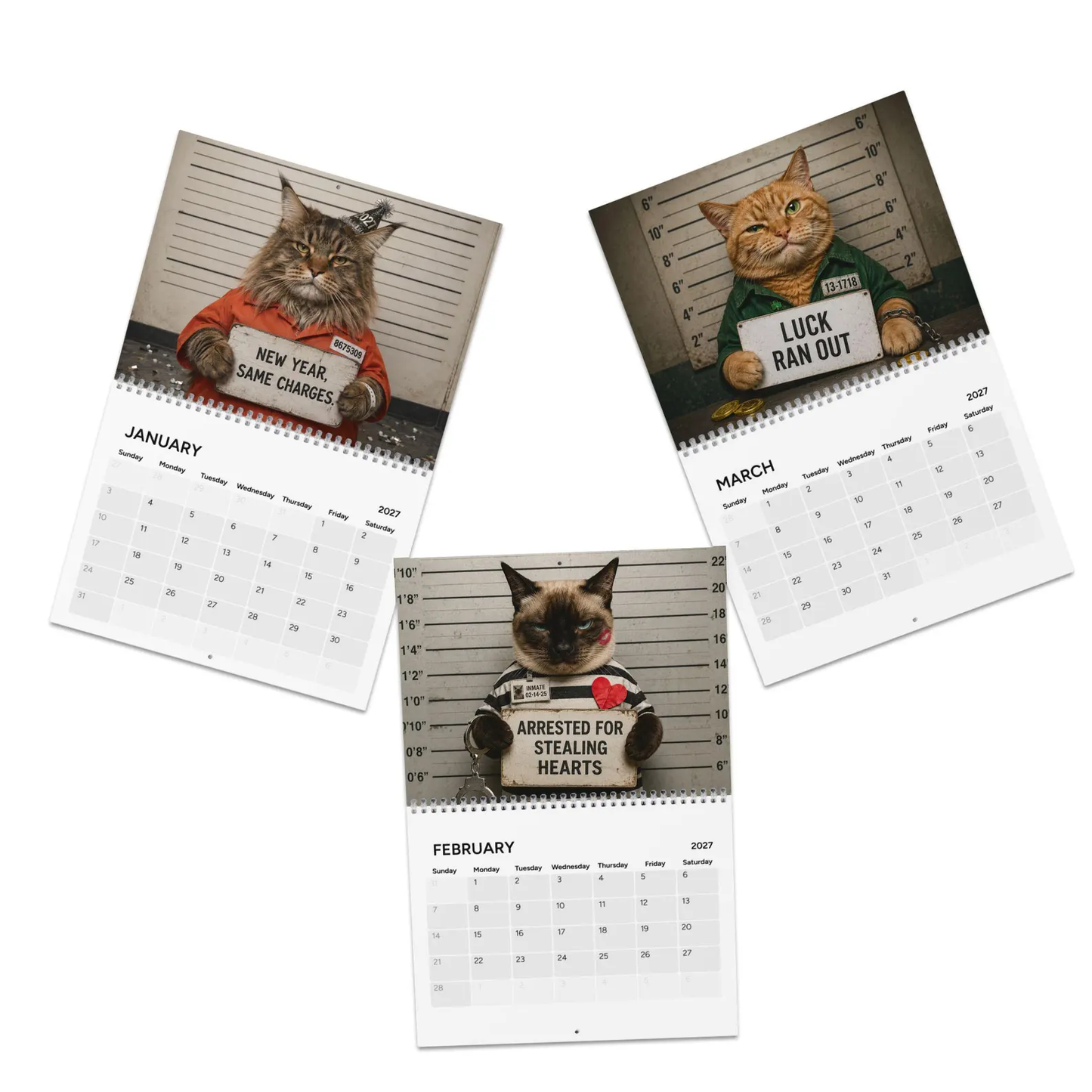 😂 Calendario 2027 con le foto segnaletiche dei gatti più divertent