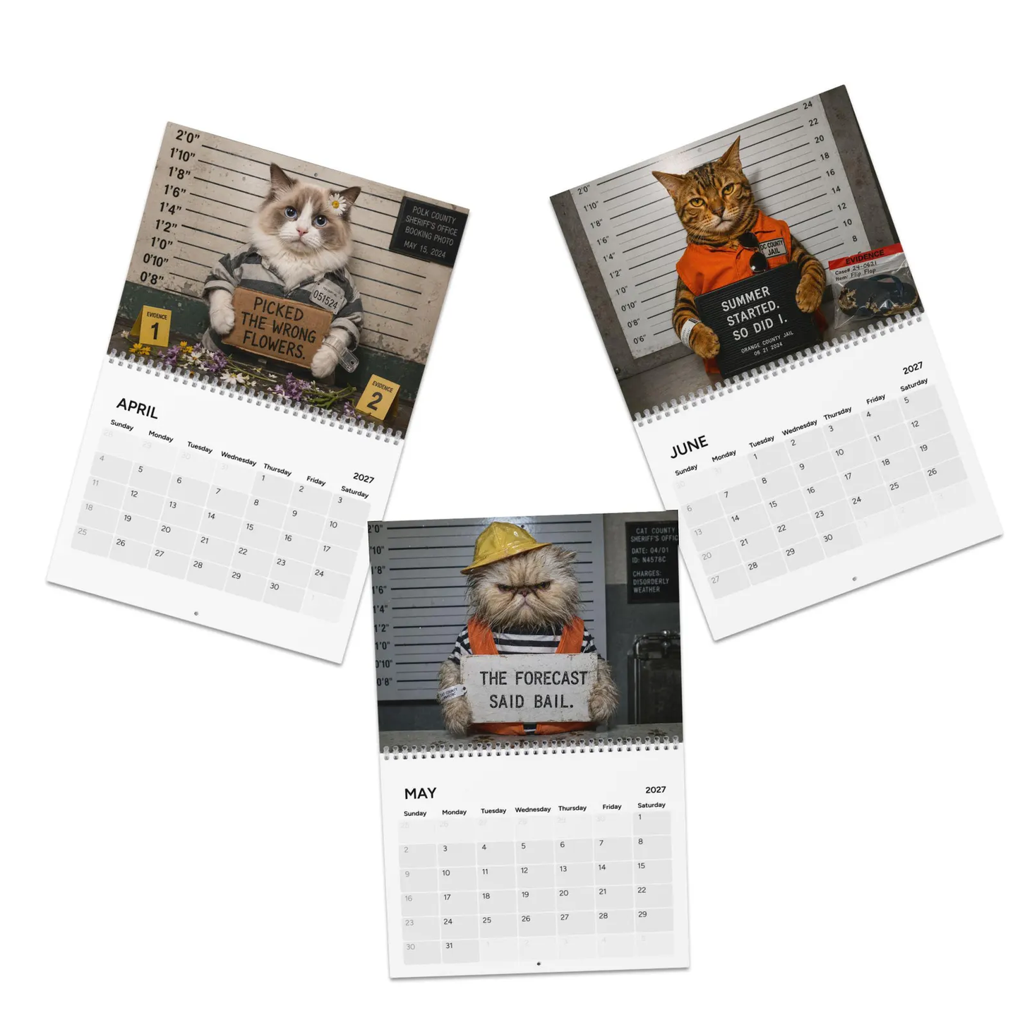 😂 Calendario 2027 con le foto segnaletiche dei gatti più divertent