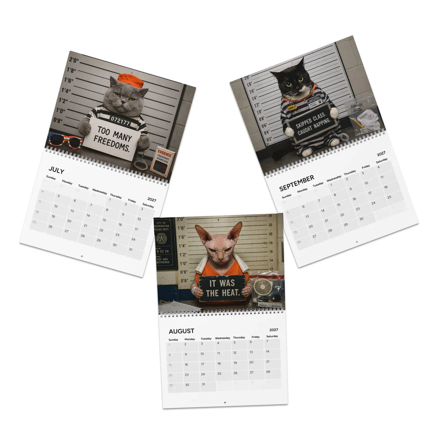 😂 Calendario 2027 con le foto segnaletiche dei gatti più divertent