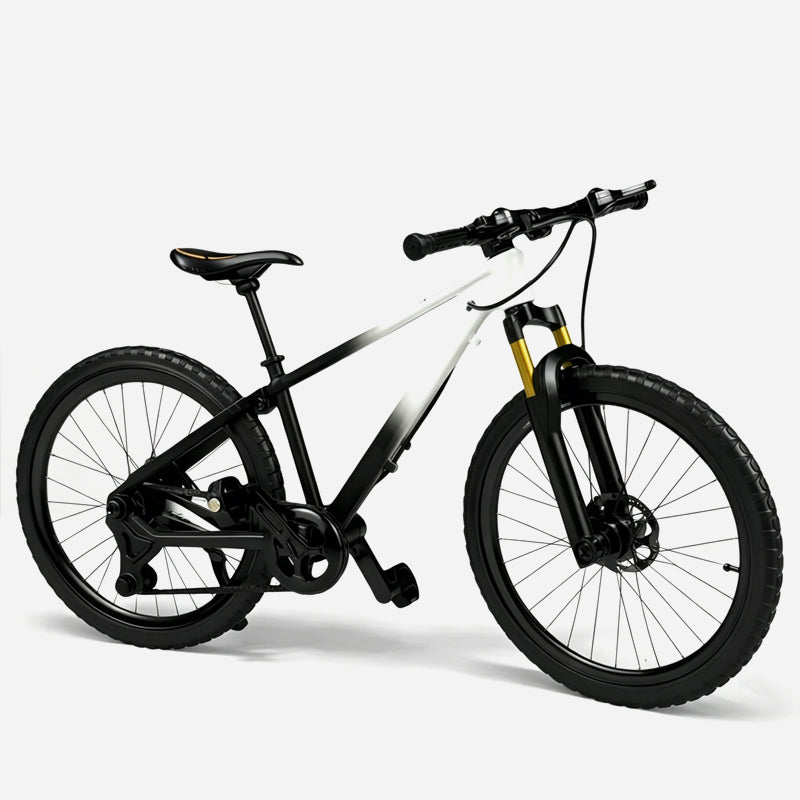 Modello da collezione in lega di una mountain bike con sospensioni anteriori e posterior