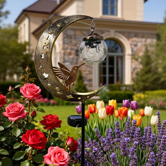 🌙✨Lampada da giardino a energia solare “Hummingbird Moon” con picchett