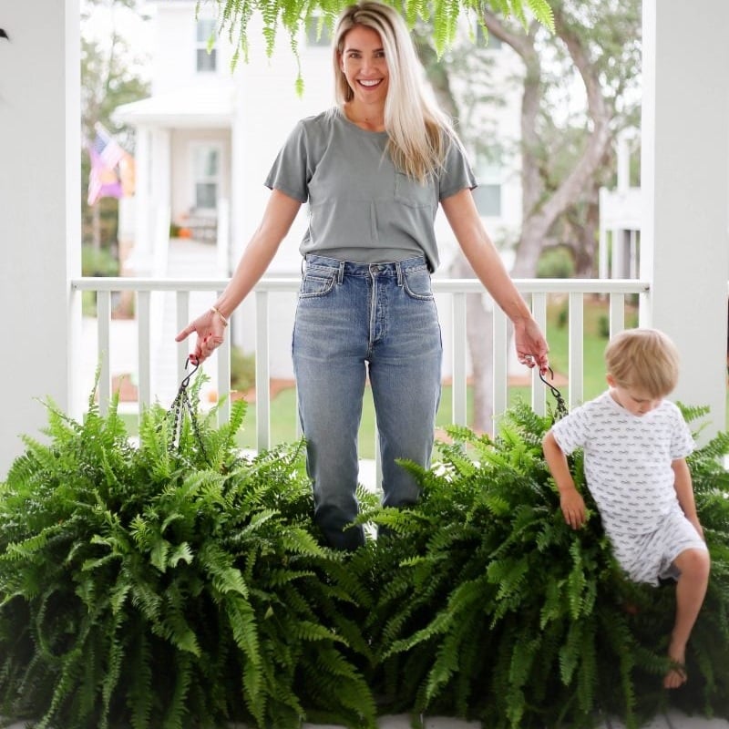 🌱 Felce di Boston artificiale realistica resistente ai raggi UV