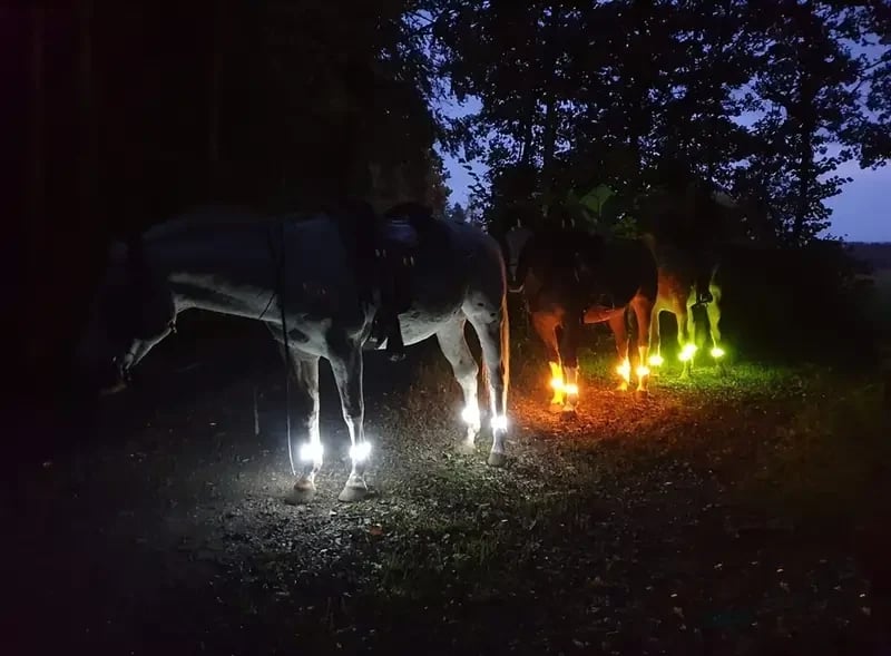 🐎 Cinghie LED per zampe di cavallo – Confezione da 4 | Luci di sicurezza ricaricabili per l'equitazione notturna | Chiusura in velcro regolabile adatta a cavalli di tutte le taglie ✨