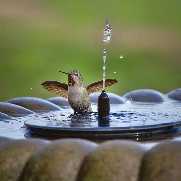 ⏳Offerta speciale a tempo limitato⏰Pompa solare compatta per fontana a forma di uccellino – Dai vita al tuo giardino! 🐦️