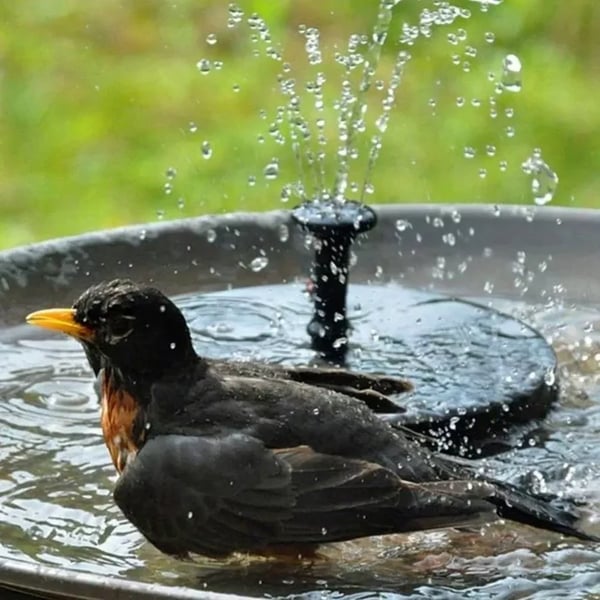 ⏳Offerta speciale a tempo limitato⏰Pompa solare compatta per fontana a forma di uccellino – Dai vita al tuo giardino! 🐦️